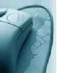 Um mouse em cima de um mapa